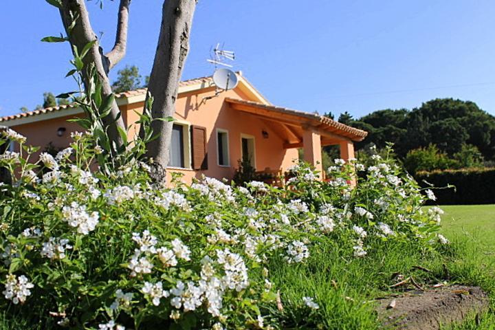 プーラ Il Melograno Di Nora Bed & Breakfast エクステリア 写真