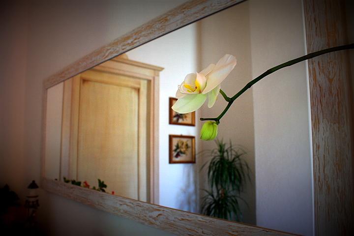 プーラ Il Melograno Di Nora Bed & Breakfast エクステリア 写真